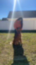 IMG-4216.JPG