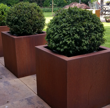 Screen Shot 2022-01-22 at 8.21.25 PM.png