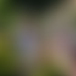 Participate in our fall fundraiser to propel pro-kid candidates to victory in November!