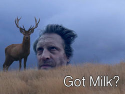 gotmilk