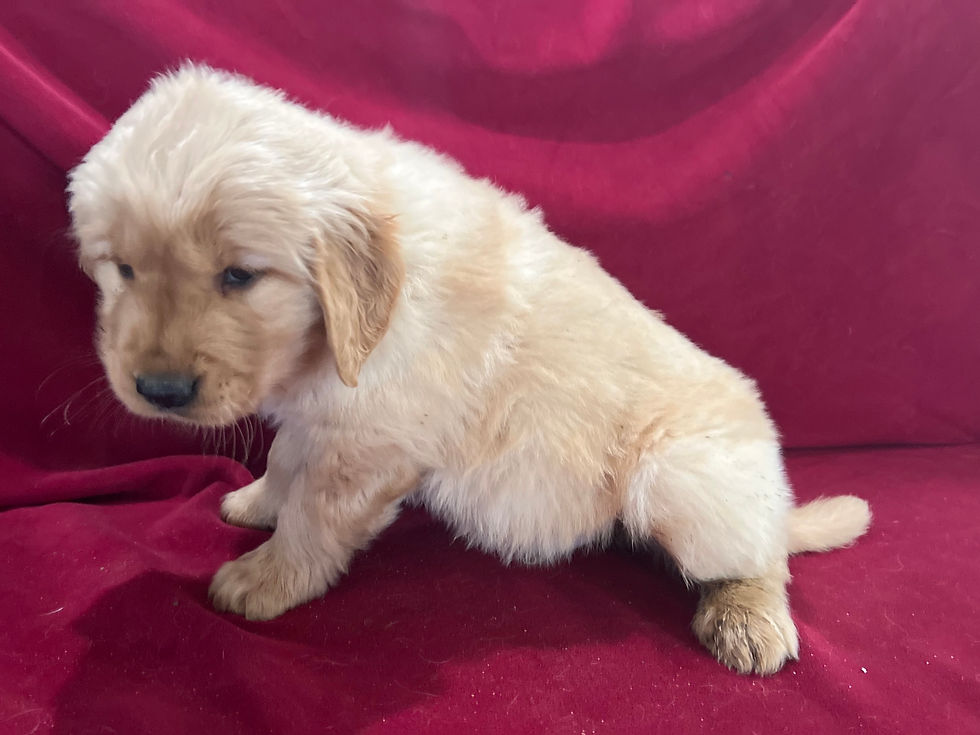 2379  boy gray camo mother, Lily