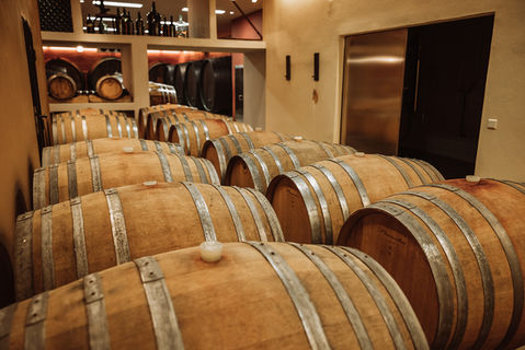 Weingut Repolusk - Südsteiermark