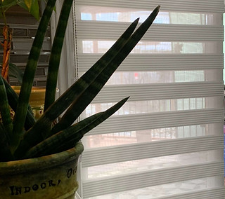 White Fringle Blinds (Pleated)