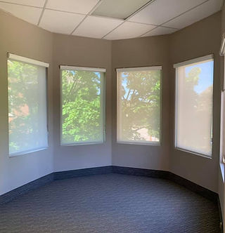 3B Sunscreen Blinds Motorized (Somfy)