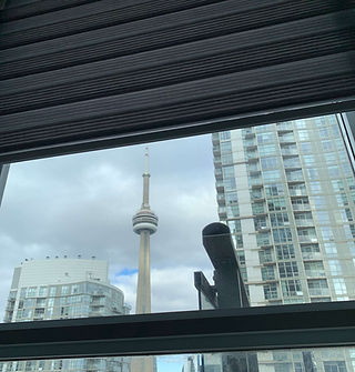 Fringle Blinds (Pleated)