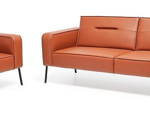 Modern Design Sofa - Loft