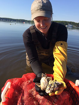 Contact, Laura Ward Brown, owner/operator Fox Point Oysters