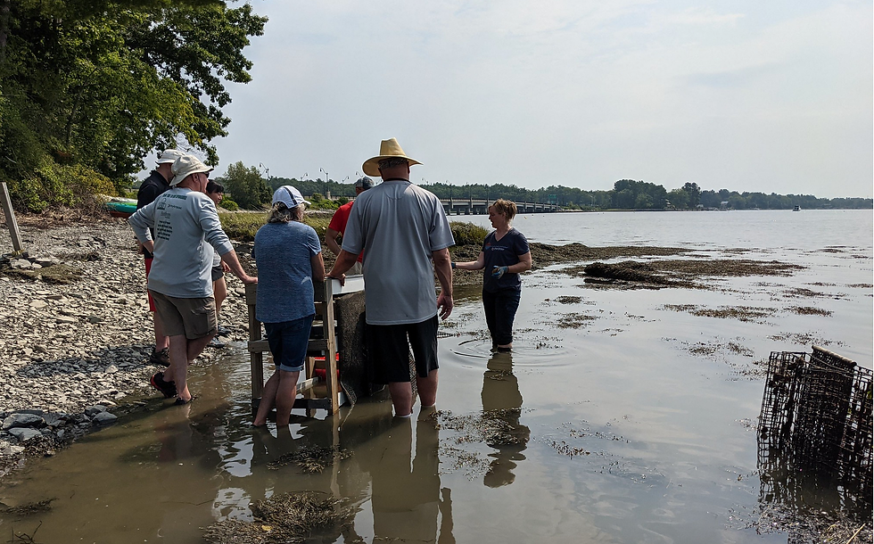 Live Free and Shuck- On Shore Farm Tour