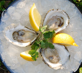 oysters.ice.jpeg