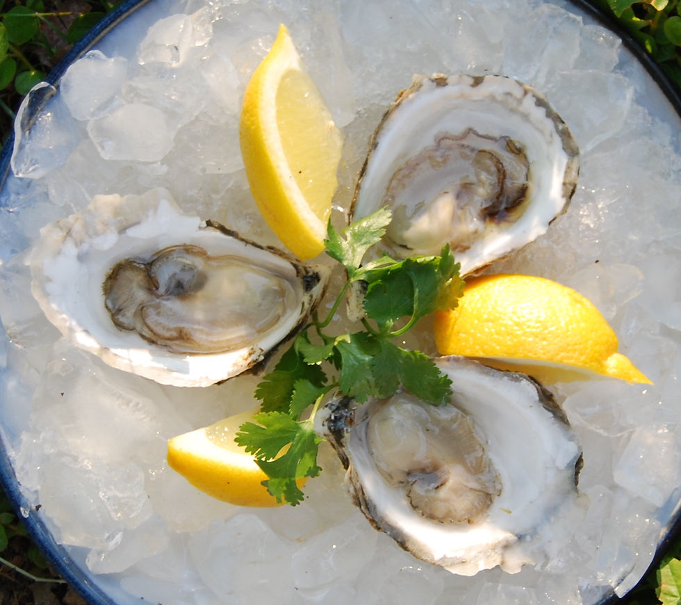 Purchase Fox Point Oysters