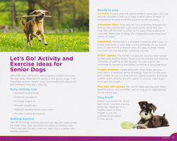Iams Senior Dog Guide