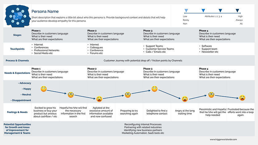 Consumer Insights5