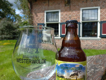 Juli & Augustus 2025: 🌞 Zomer in Westerwolde