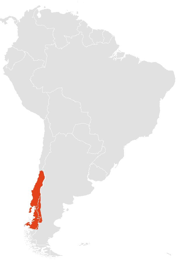 Leopadus guigna distribution map 2015.JPG