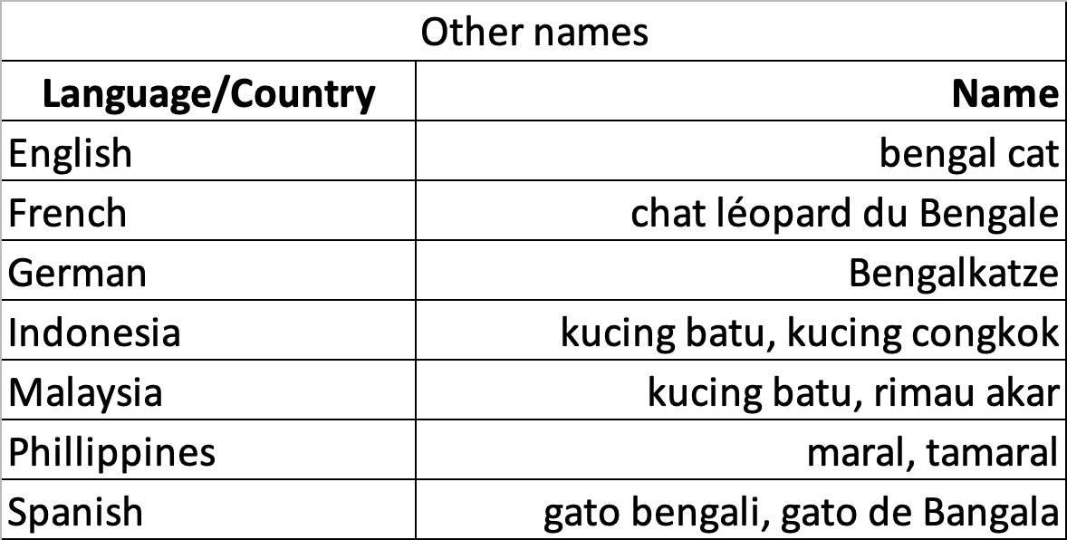 Sunda leopard cat Other names.png