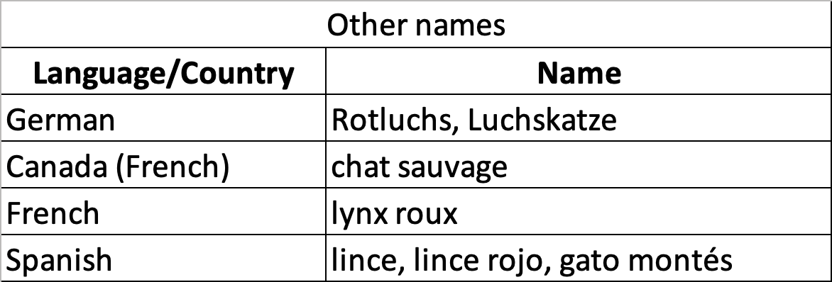 Bobcat Other names.png