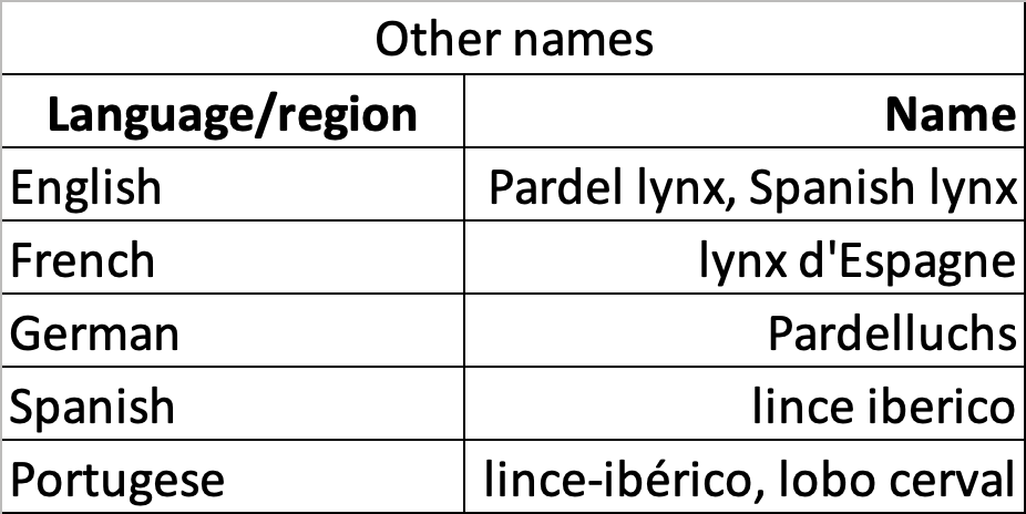 Iberian lynx Other names.png