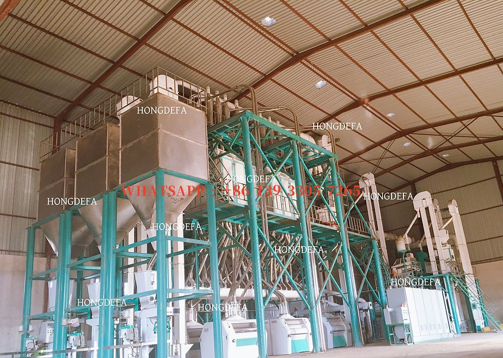 Moulin à maïs zambien 240T/J