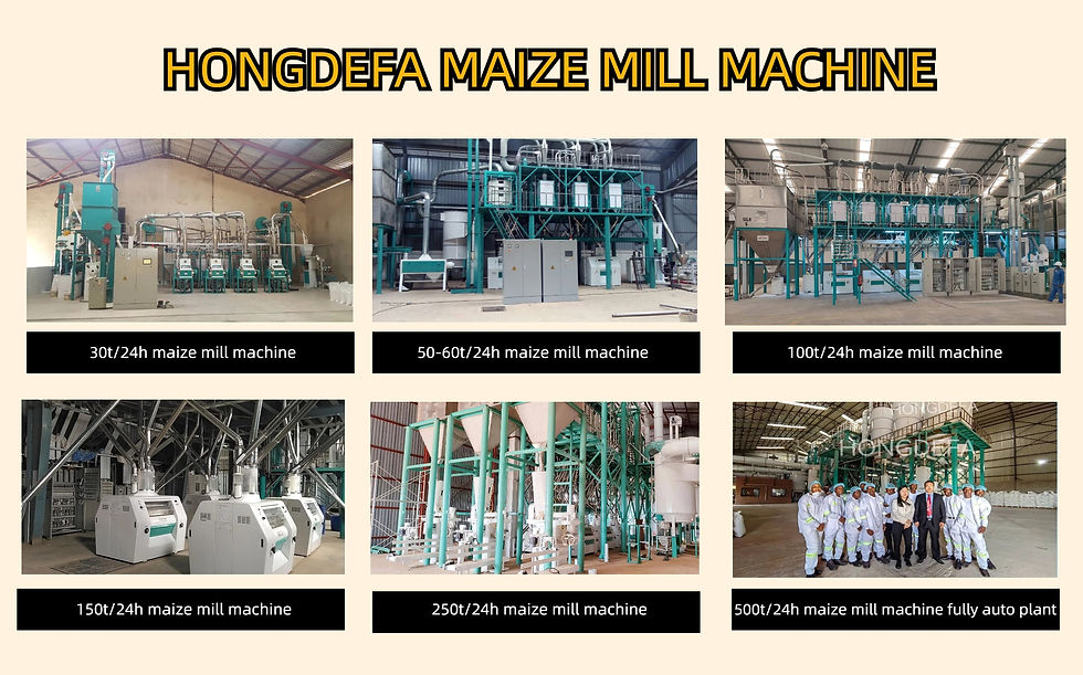 Hongdefa supply maize and wheat mill form 10t/d to 500t/d