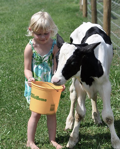 jillncalf17.jpg