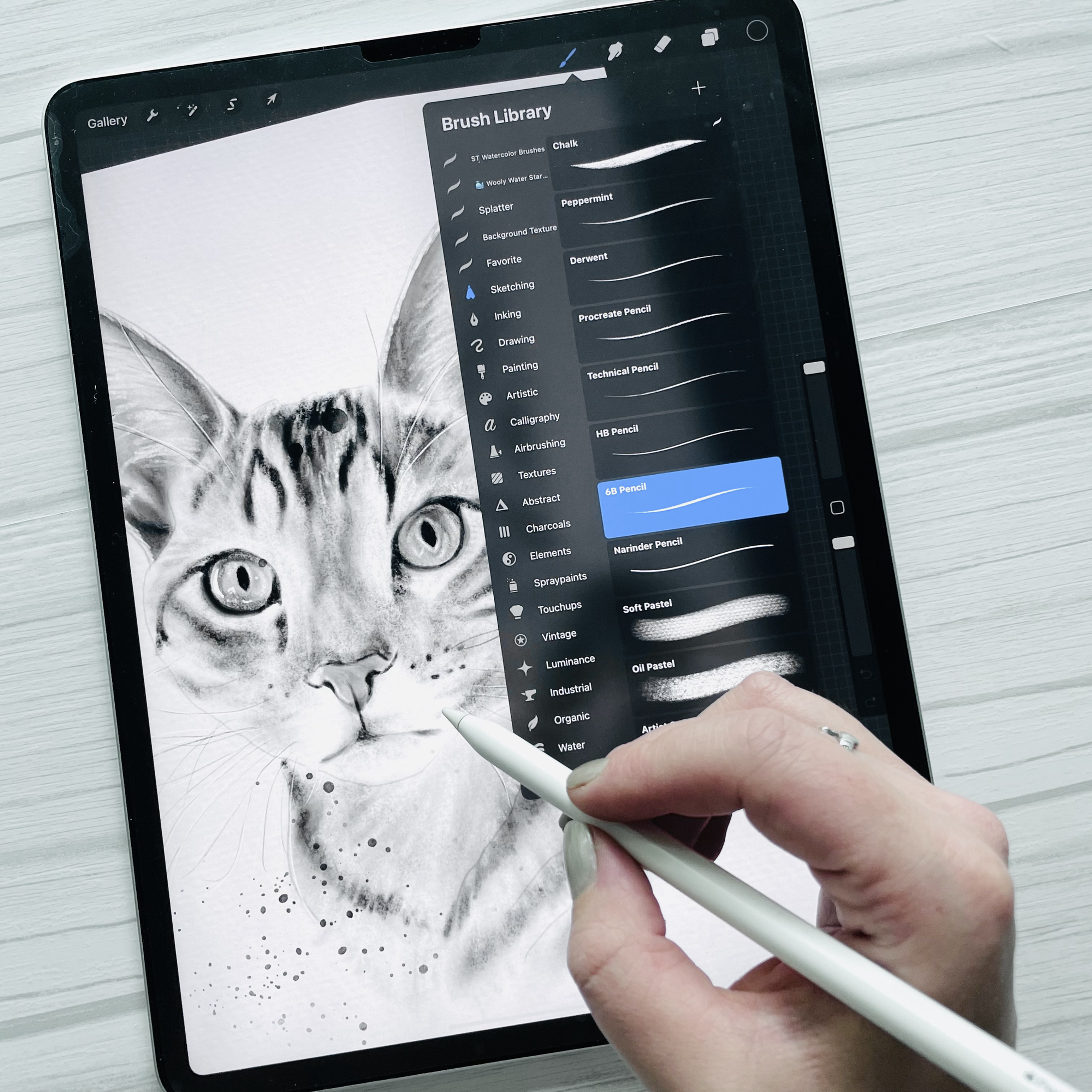 Custom Digital Pet Portrait Order