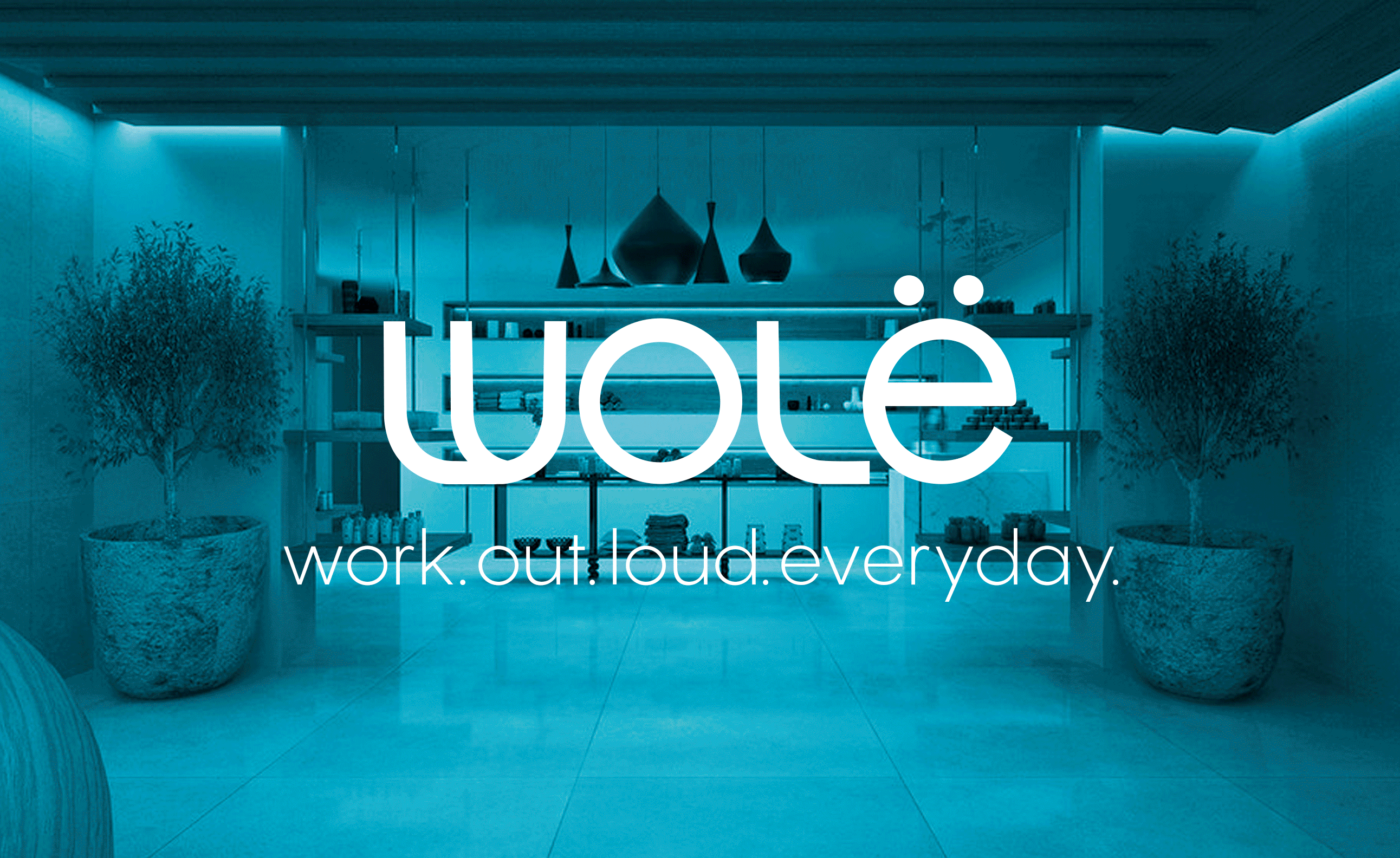 wole-advertising.gif
