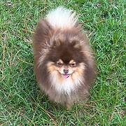 FullSizeRender-preview 3.HEIC