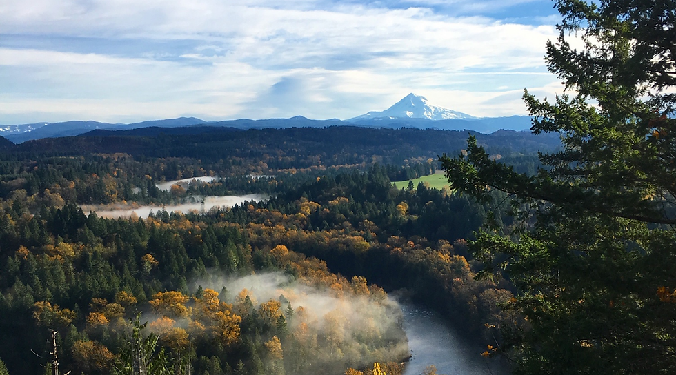 Untitled design (10).png