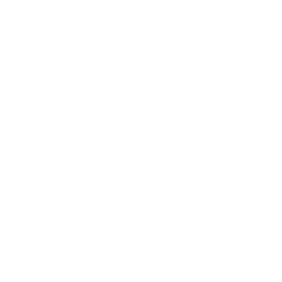 Fern square-2000px.png