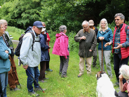 2024-06-15 Sortie forêt de Champeaux.