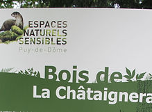bois chataigneraie_edited.jpg