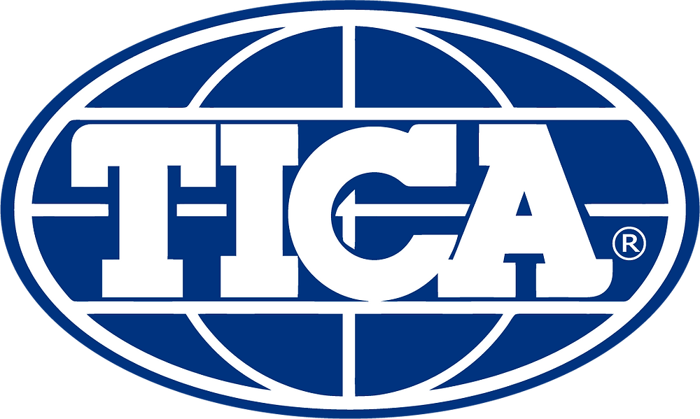 the-importance-of-your-tica-registered-kitten