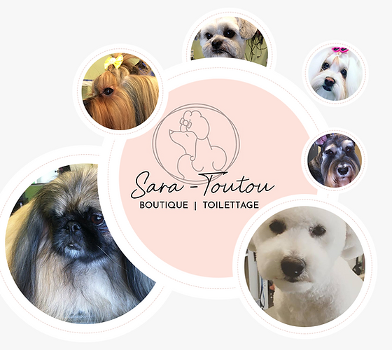 toilettage-et-boutique-pour-animaux-sara-toutou.png