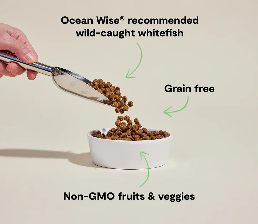 Miniature : Open Farm - Nourriture pour chien sans grain au poisson blanc