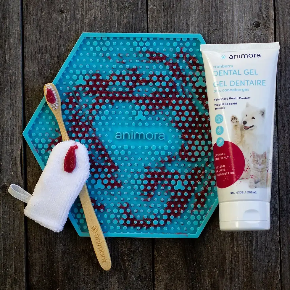 Miniature : Animora - Gel Dentaire pour chiens et chats