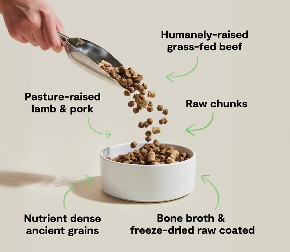 Miniature : Open Farm - Nourriture pour chien RawMix anciens grains Front Range