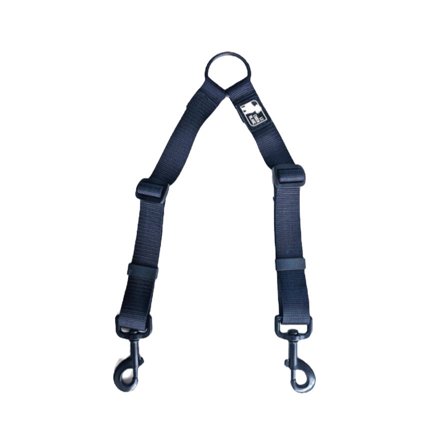 Le chien blanc - Coupleur