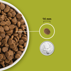 Miniature : Acana - Nourriture pour chien Plus forte teneur en protéines Grasslands
