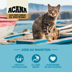 Miniature : Acana - Nourriture pour chat Plus forte teneur en protéines Pacifica