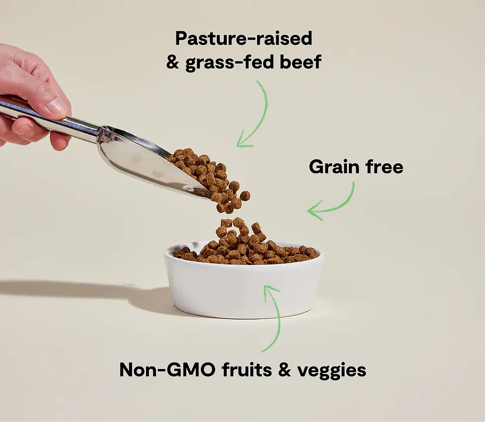 Miniature : Open Farm - Nourriture pour chien sans grain au Boeuf