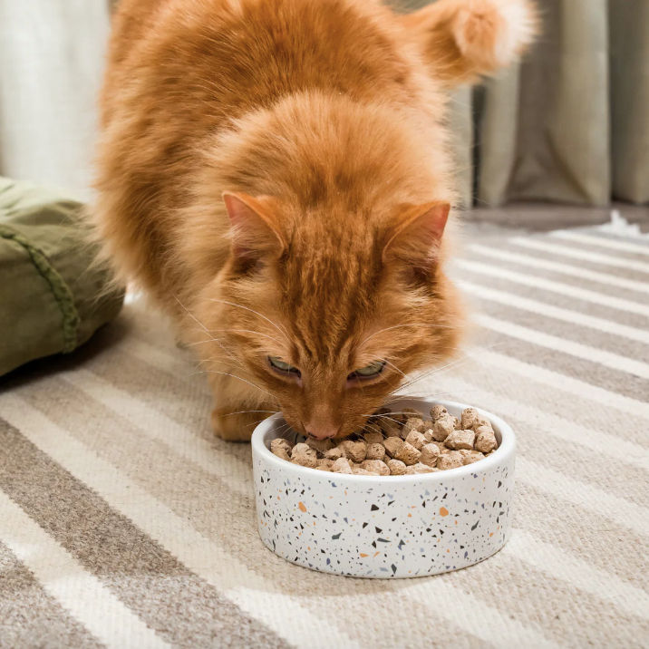 Miniature : Open Farm - Nourriture lyophilisé pour chat Terre et mer