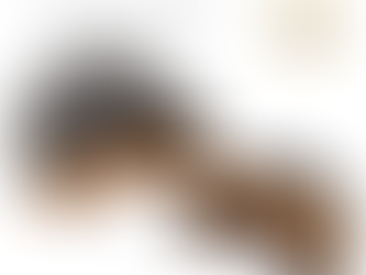 TLB - sogæðaburstarnir frá Cecily Braden