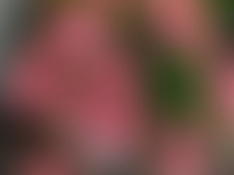 5月のおしらせ