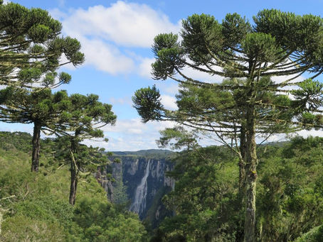 Parque Nacional Aparados da Serra