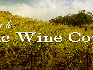 All Wineries In Suisun Valley