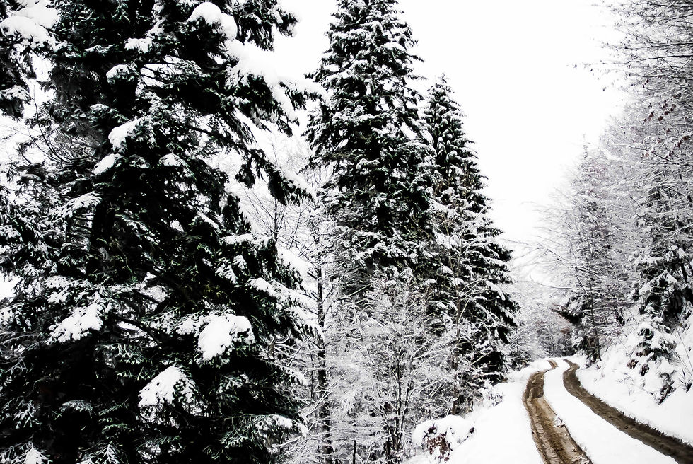 Drumul Regelui, Ranca