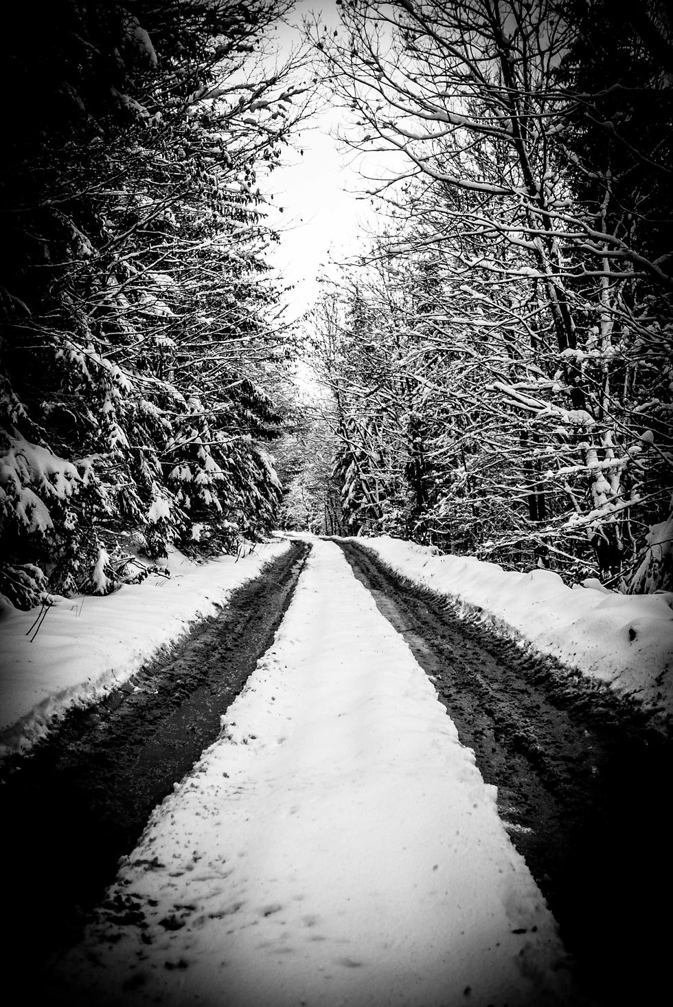 Drumul Regelui, Ranca