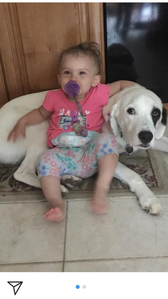 baby and dog