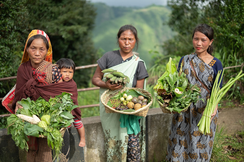 FROM POTENTIAL TO POWERSCALING INDIGENOUS PEOPLES’ NATURE-BASED FOOD