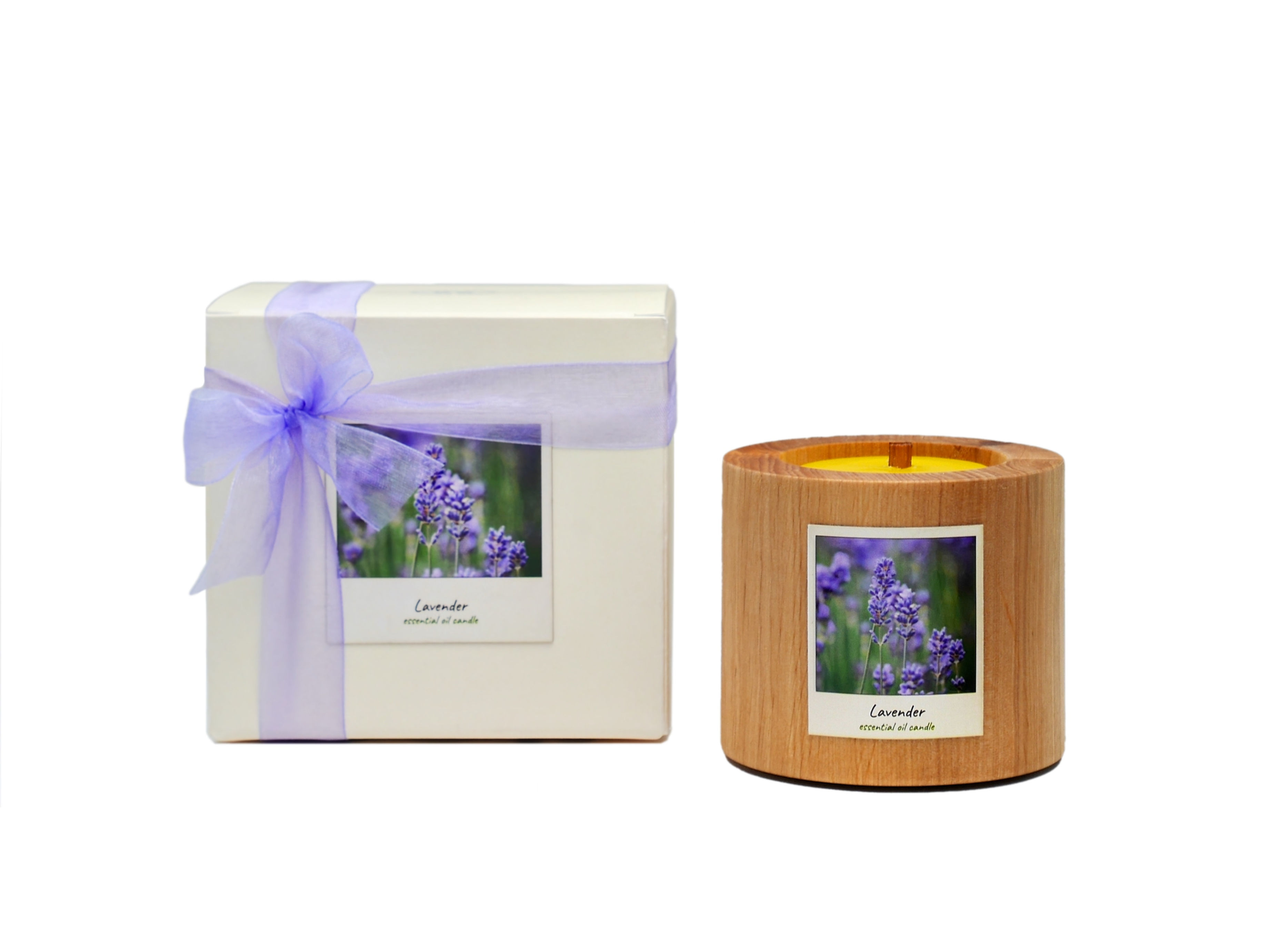 Soft Lavender Moments